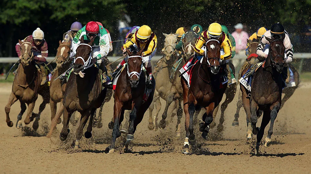 Betfun CABA Horse